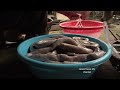 The recipe for making sausage a dish in the restaurant is here. Robert | Green forest life (ep286)