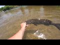 FISHING FOR CREEK GIANTS in small creek.