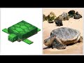 Realistic Minecraft | Real Life vs Minecraft | Realistic Slime, Water, Lava #696