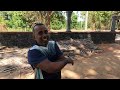 Deep Inside Habarana Village Life, Sri Lanka 🇱🇰 PART 1