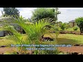 View Of Kwetu Home Sagana From The Main Gate #accommodation