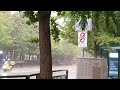 Stress Free Heavy Rain Walk. Relaxing Sound for Sleep Study Meditation. White Noise ASMR.