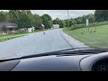 why did the goose cross the road