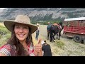 Wyoming Wilderness, Yellowstone & Shoshone, horse pack-trip