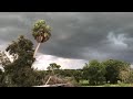 Florida Storm Brewing