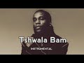 TitoM, Yuppe and Burna Boy - Tshwala Bam Ft. S.N.E] Amapiano Beat ( Instru by EYOKIDDY )