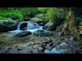 Beautiful Watefall Sounds Relaxation Music To Relieve Stress, Anxiety and Depressive States • Heals