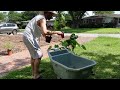 creating a front yard garden + tree removal!