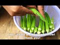 Revealing the secret to grow okra at home for many fruits