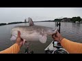 4 Hours of RAW and UNCUT Kayak Catfishing with BIG Live Baits