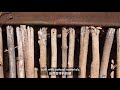 The Great Libraries of China - Part 1| LiYuan Library | Design Asia EP19