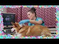 What's In Your Vet Bag?? 💖  Ask Vida 🩺 Full Episode  👛  Learn about Animals ✨ New Show #stem