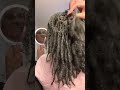 1 year Loc  hair Length  check