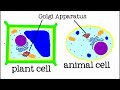 All About Cells and Cell Structure: Parts of the Cell for Kids - FreeSchool