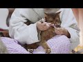 Milo Vet Day | Choco boy (ENG SUB)