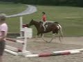 jumping paint pony