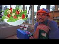 Blippi besucht einen Hallenspielplatz | Blippi Deutsch | Abenteuer und Videos für Kinder