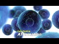 Cells Healing - Affirmation