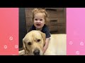 Huge Pup Meets Baby Sister And Falls In Love Completely | Cuddle Buddies