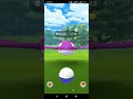 Kyogre Nest, Kyogre in the Wild in Pokémon GO? OH? Zorua