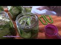 How to Make Dill Pickles From Garden Fresh Cucumbers!