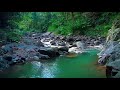 Beautiful River Relaxing Sounds for Stres Relief Sleeping Healing Sleeping