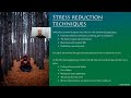 Athletic Flow States Mini-Course part 5.1 - Reducing stress 1