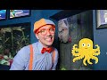 Blippi’s Big Blue Sea Search | Blippi - Learn Colors and Science