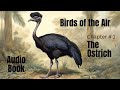 Ostrich | Section 1 of The Birds of the Air