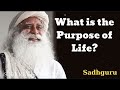 What is the Purpose of Life?- Sadhguru Spiritual Teacher