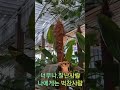 미니여신 커버곡 #어쩌나요 #한초성가수님