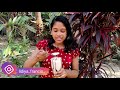 Sharjah Shake ഇനി വീട്ടിൽ ഉണ്ടാക്കാം | How to Make Sharjah Shake | Sharjah Shake Recipe