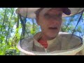 Ep 2. Growing 4 Nucs into 10 Frames / WHERE Should We put The Hives? Beekeeping 101 #beekeeping