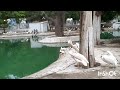 Garden zoo Karachi vlog park