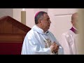 [EN DIRECTO] Misa del Papa Francisco en la catedral de Panamá