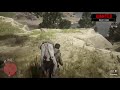 Red Dead Redemption 2 human shield