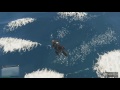 [GTA V] ✈Voler en moto ?! |#FR| HD☻