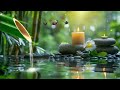 Relaxing Zen Music - Study, Healing Music, Nature Sounds, Bamboo Music, Peaceful Piano Music
