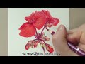 색연필로 그리는 제라늄 / 줄기와 잎의 잔털 표현하기 / Geranium drawing with colored pencils / How to express fine hair