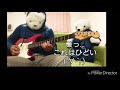 ヤバイＴシャツ屋さん sweet memories ギター演奏(おまけ 検証 もともとあまりうまくない癖に目隠し奏法したらどうなるか)