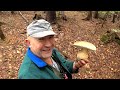 Mushroom tale - about wonderful porcini mushrooms!