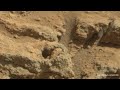 Mars rover found strange objects in the surface of mars!  Mars real video! 