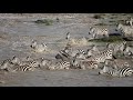 Best of Masai Mara mov