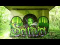 Medicinal Vibes Music Mix - Dub Psydub Ethnic World Chill Out Psybient Psychill