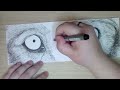 How To Draw Wolf Eyes & Art Supply Review: Pilot FriXion highlighters