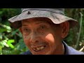 Tewet, the last keeper of Borneo I SLICE I Full documentary