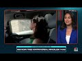 NBC News reporter test rides driverless taxi in Arizona