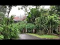 Heavy Rain and Fog in the Highest Rural Areas of Indonesia | ASMR, Rain Sounds for Sleep Therapy