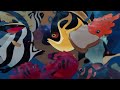 Why Lilo Feeds Pudge, Loves Elvis and Takes Pictures | Lilo and Stitch Theory: Discovering Disney