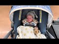 Reborn Baby Walmart Outing! Halloween Baby Stuff Is Out!